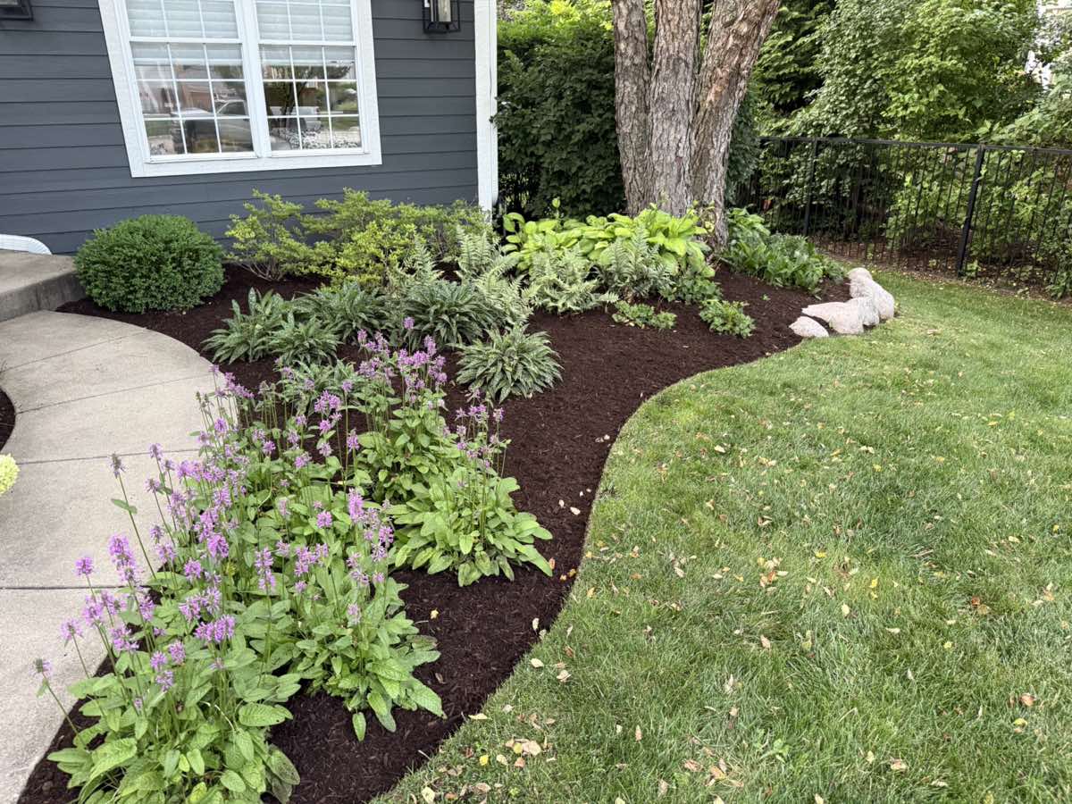 Garden enhancement with premium plantings