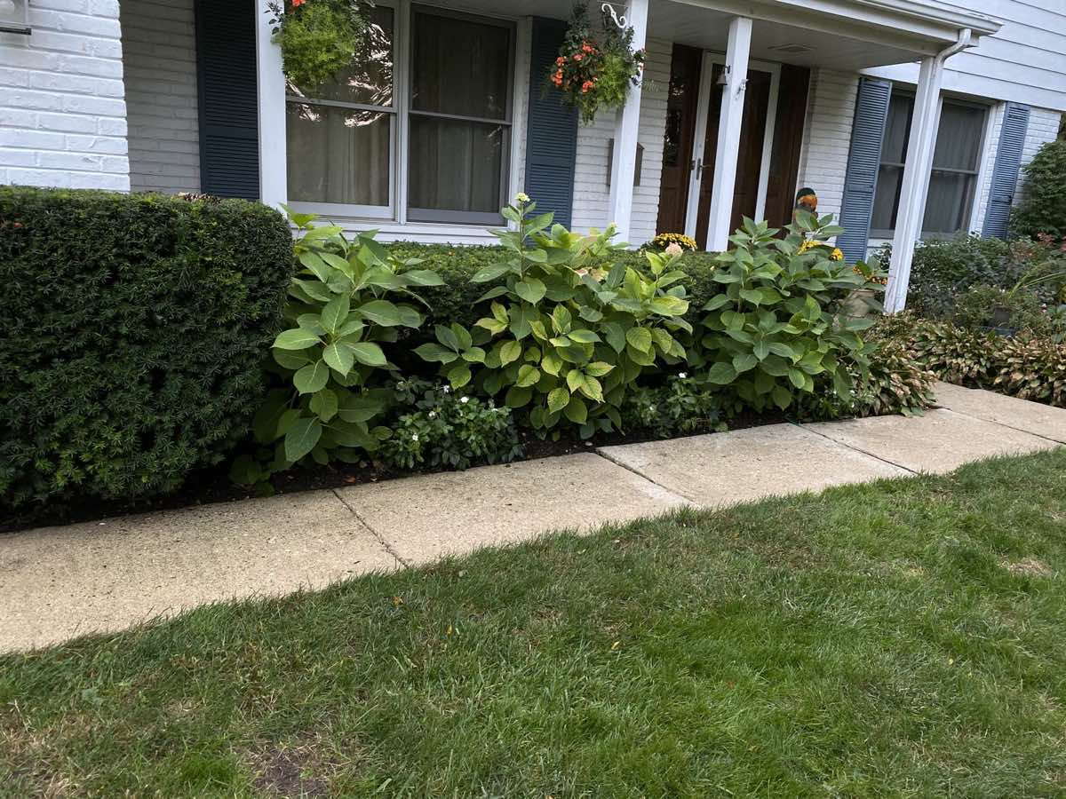 Exterior power washing